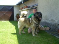 /album/arinka-na-vystave/a21-jpg/